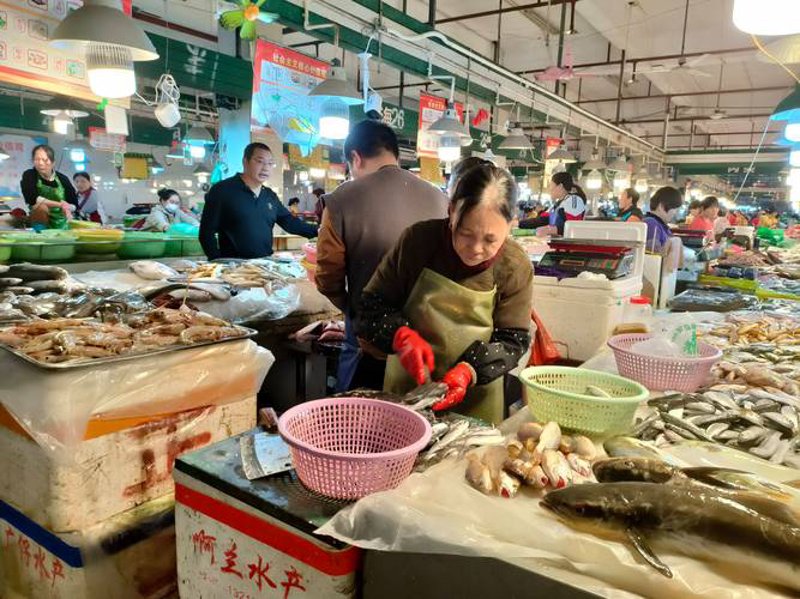 琼海商贸行业的最新趋势与挑战
